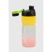 Dingsheng    SP73-0209  (2000990386441)