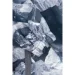  Dinomin ³   22 110  ѳ (2000990369543D)