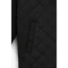 Dinomin    M-805 104   (2000990869562)