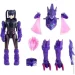   Dinoster  -  (20 cm) (EU580836)