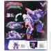  Dinoster   (EU580816)