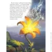 Disney   .   9786171601369