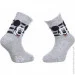  Disney Mickey Head +  Stripes gray  43891247-4 23-26