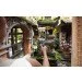   DJI Osmo Mobile 2