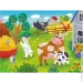 Dodo    , 30  (300683)