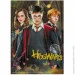 Dodo   "Harry Potter.   " 200498, 250 
