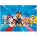  Dodo Paw Patrol:    (200163)