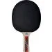     Donic Legends 600 FSC
