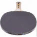     Donic Waldner 300 (703001)