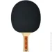 Donic     YOUNG CHAMPS 200 (4000885051223)