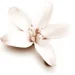  Dove   ³  150  (8717163714850)