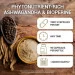 Спеціальна добавка Dr. Berg Органічний корінь ашваганди Ashwagandha 90 капсул Спеціальна добавка Dr. Berg Органічний корінь ашваганди Ashwagandha 90 капсул