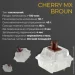  Ducky One 3 Cherry MX Brown Matcha Cream UA (DKON2108-BUAPXMAEGGC1)