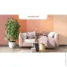 Dufa   PREMIUM Starke P 101    2.5