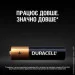  Duracell Basic AAA 5. (5000394160682)