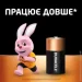  Duracell C LR14, 2. (5000394052529)