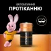  Duracell C LR14, 2. (5000394052529)