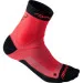 Dynafit Alpine Short (016.002.0899)