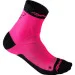 Dynafit Alpine Short (016.002.0899)