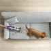  Dyson V11 Extra