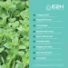   E2h Earth To Humans  -      Advanced Intestinal Support Liquid 59  (4384307897)