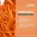   E2h Earth To Humans  -  㳿   Cordyceps Mushroom Liquid 59  (4384307879)