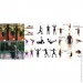 Easyfit  - , ,  10 
