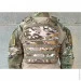 Easyfit  Pantsyr-2 (  ,  MOLLE) Multicam Arid