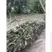 Ecobag ѳ    ϳ, 1,6*10., 