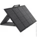   EcoFlow EFSOLAR220W