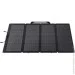  EcoFlow EFSOLAR220W