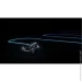 - EcoFlow BLADE      (EF-BladeBandle)