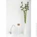 Գ   Ecosoft Standard 5-50 (MO550ECOSTD)