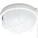   Ecostrum   LED 11    IP65 -1051-1/6-LED-11W