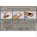     Apple      EcoWalnut     iWatch (0007)