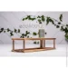             EcoWalnut  (0016)