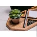             EcoWalnut  (0108)