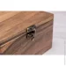           EcoWalnut       4 (0063)