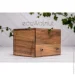           EcoWalnut       6   (0225)