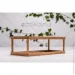          EcoWalnut   Beauty Station (0052)