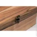          EcoWalnut     L (0068)