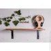             EcoWalnut     L () (0320)