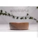            EcoWalnut  M (0217)