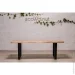                EcoWalnut    M () (0304)