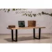                EcoWalnut    M () (0304)