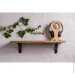              EcoWalnut     M () (0318)