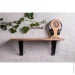              EcoWalnut     M () (0318)