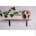 '             EcoWalnut     M () (0328)