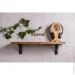 '             EcoWalnut     M () (0328)
