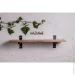              EcoWalnut     S () (0316)